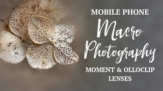 Mobile Phone MACRO Photography  Moment Lens and Olloclip Macro Lens for iPhone [upl. by Mancino632]