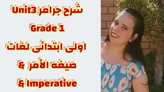 شرح جرامر  اولى ابتدائى لغات  صيغه الأمر Imperative  Grde 1 [upl. by Mechelle]