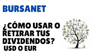 ¿Cómo cambiar y usar tus dividendos recibidos en moneda extranjera de Bursanet Diferencias con GBM [upl. by Ulrich]