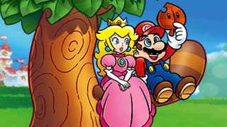 Super Mario 3D Land 100 Walkthrough  World 5 All Star Coin Locations amp All Gold Flags [upl. by Ahders376]