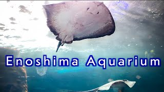 Enoshima Aquarium [upl. by Apollo312]