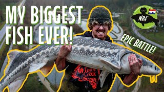 Biggest Fish of My Life 🤯 Sturgeon Fishing Adventure in the Netherlands 🇳🇱 [upl. by Marentic567]