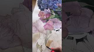 “Baltoji Hortenzija” “White Hydrangea” aquarelle paintingprocess flowers [upl. by Melisenda]