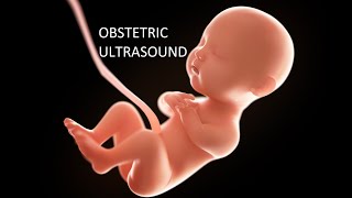 OBSTETRIC ULTRASOUND  MORPHOLOGY SCAN AND SECOND TRIMESTER [upl. by Lindsay]