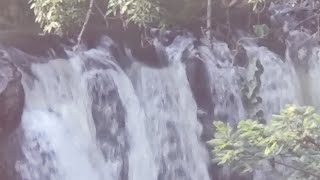 Río Apatlaco de cuernavaca Morelos México 🇲🇽 [upl. by Nodaj]