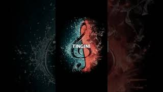 TINGINI song [upl. by Netty]