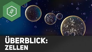 Zellen  Überblick [upl. by Hembree]