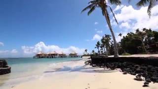 Coconuts Beach Club Resort and Spa Samoa [upl. by Bertrand782]