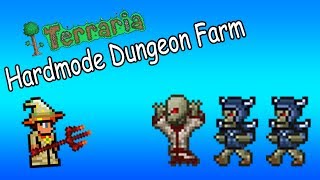 Simple Terraria Hardmode Dungeon Farm [upl. by Yliah532]