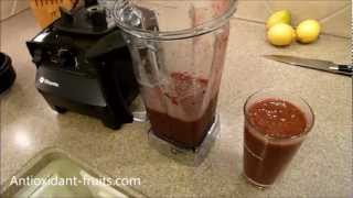 Berry Smoothie Recipe in Vitamix  Navitas Naturals Smoothie Recipe  Antioxidantfruits [upl. by Oiram]