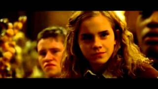 Fan video Harry Potter  Naughty Boy  Runnin ft Beyonce amp Arrow Benjamin [upl. by Klimesh]