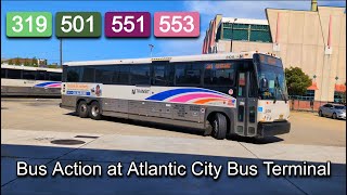 NJ Transit 319 501 551 553 Bus Action at Atlantic City Bus Terminal [upl. by Esertal]