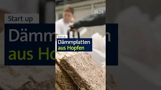 Hopfen Startup shorts hopfen landwirtschaft [upl. by Ru]