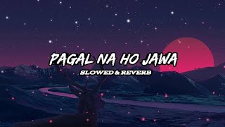 Pagal Lofi  Slowed  Reverb   Jis Din Tu Meri Howegi  Mai Pagal Na Ho Jawa  Asveer Lofi Vibes [upl. by Balch]