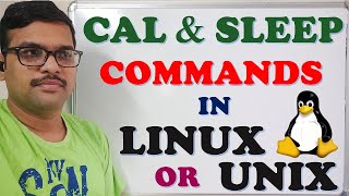 The sleep Command In Linux [upl. by Durman395]