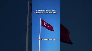 Bayrakları bayrak yapan üstündeki kandır Toprak eğer uğrunda ölen varsa vatandır🇹🇷🇹🇷🇹🇷🇹🇷 [upl. by Caesar729]