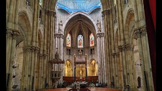 BASÍLICA DE SAN VICENTE FERRER VALENCIA COCINITAS Y MAS [upl. by Tallula216]