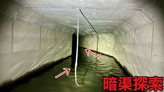 全長300mの大暗渠に潜む巨大魚を探しに行ったら怖すぎた【ガサガサ】 [upl. by Vyner797]