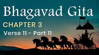 Bhagavad Gita Chapter 3 Verse 11  PART 11 in English by Yogishri [upl. by Pamella]