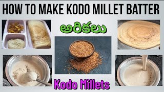 Kodo millet Dosha  Millet Recipe  Healthy Breakfast Ideas  Weight loss Millet Dosa Batter sub [upl. by Kulseth]