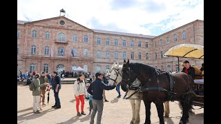 Ferme à la Ville 2024 à Caluire et Cuire [upl. by Eet]