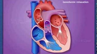 Cardiac Cycle  Systole amp Diastole  Metacafe2mpg [upl. by Stagg]