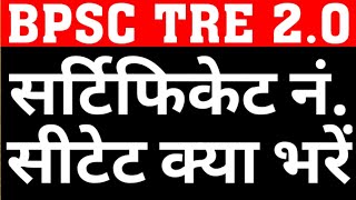 BPSC TRE 20 ONLINE FORM WHAT TO FILL IN CTET CERTIFICATE NOCTET CERTIFICATE NO IN BPSC ONLINE FORM [upl. by Parent]