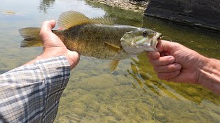 Fly Fishing For Smallmouth Bass Thames River North Branch [upl. by Viva]