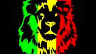 Alborosie  Kingston Town Sylobin Drum and Bass Remix [upl. by Mickelson156]