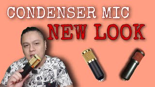 BM 800 CONDENSER MIC  REPAINT AND DISASSEMBLY  HOW TO SPRAY PAINT A MICROPHONE  Vlog 25 [upl. by Birch986]