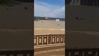 Bansagar dam ke teen gate khule nice view [upl. by Christopher]