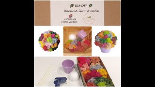 Kit DIY cu licheni decorativi [upl. by O'Meara]