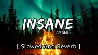 Insane Slowed And Reverb  AP Dhillon [upl. by Berton238]