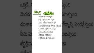 చిక్కుడు కాయలు ఆరోగ్య ప్రయోజనాలు  Broad Beans Health Benefits in Telugu [upl. by Carlota]