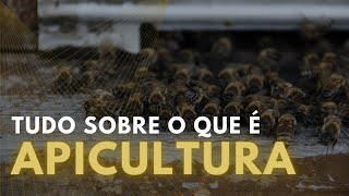 Tudo sobre o que é a Apicultura [upl. by Annat]