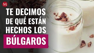 Te decimos de qué están hechos los búlgaros ¿son buenos para la salud intestinal [upl. by Icak]