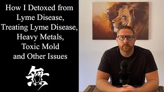 How I Detoxed from Lyme Treating Lyme Heavy Metals Toxic Mold and Other Issues [upl. by Baiss]