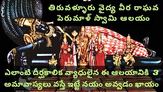 Thiruvallur Vaidya Veera Raghava Swamy Temple 3అమావాస్యలు ఈగుడి వస్తే దీర్ఘకాలిక వ్యాధులునయంఅవుతాయి [upl. by Mosnar]