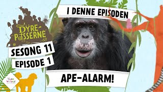 Apealarm  Dyrepasserne S11 E01 [upl. by Eltsirhc]