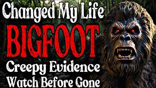 6 Hour TOP BIGFOOT Encounter Stories  BIGFOOT Documentary  BIGFOOT Sighting Latest Vol2 [upl. by Callum]