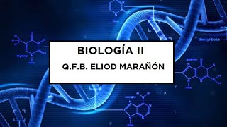 Biología II  Leyes de Mendel  Preparatoria virtual [upl. by Rivkah]