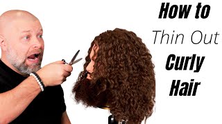 How to Thin Out Curly Hair  TheSalonGuy [upl. by Notnert861]