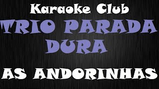 TRIO PARADA DURA  AS ANDORINHAS  KARAOKE [upl. by Ardnossac]