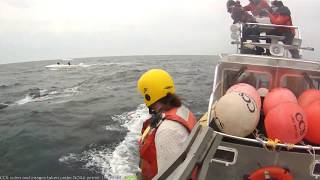 Humpback whale disentanglement CCS NOAA permit 18786 04 [upl. by Froehlich674]