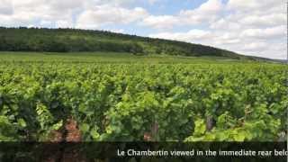 UNESCO SITE WINE From BURGUNDY  FAMOUS Grands Crus of GevreyChambertin [upl. by Haisej]