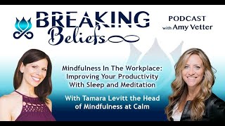 Mindfulness In The Workplace Improving Your Productivity With Sleep amp Meditation With Tamara Levitt [upl. by Lesig988]