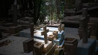 Los Panaderos en Panteón de Dolores CDMX Shorts urbex paranormal cdmx cementerio creepy miedo [upl. by Liag]