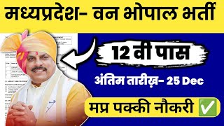 mp government job vacancy 2024 12th pass  IIFM Bhopal Vacancy 2024 भारतीय वन प्रबंधन संस्थान भोपाल [upl. by Keese]