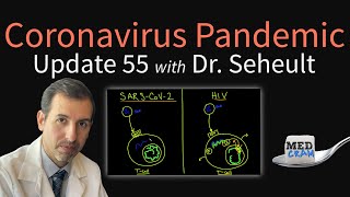 Coronavirus Pandemic Update 55 How COVID19 Infection Attacks The Immune System amp Differs From HIV [upl. by Htaras]