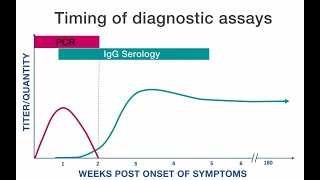 Rickettsial Disease Diagnostic Testing and Interpretation [upl. by Aibonez]